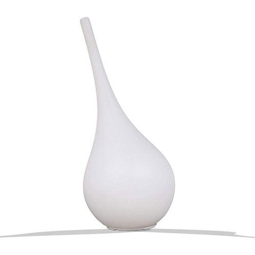 Ampoule Myyour Blumen Vase