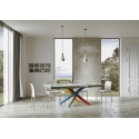 Volantis evolution Itamoby multicolor Tisch