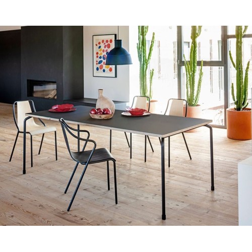 Master Midj extendable table