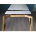 Decapo Plus Miniforms Extendable Table