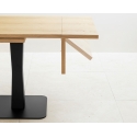 Gualtiero Plus Miniforms Extendable Table