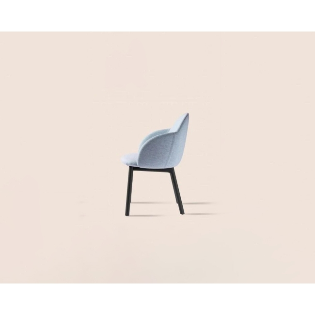 Iola Wood Miniforms Chair with armrests