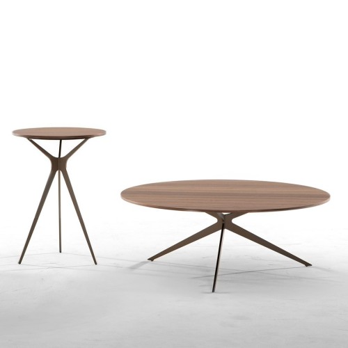 tree-coffee-table-tonin-casa