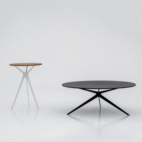 Tree Tonin Casa Coffee-table