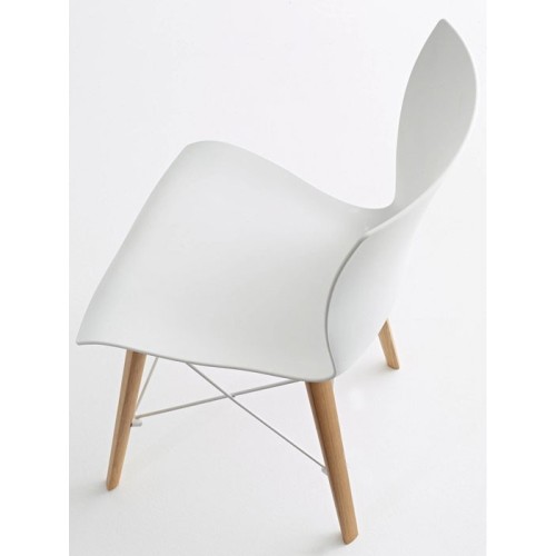 Rap Wood Colico Chair