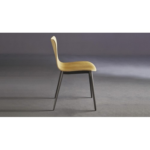 dandytt-colico-chair