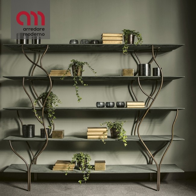 Albero Cantori Bookcase