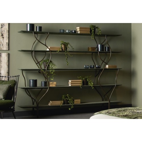 Albero Cantori Bookcase