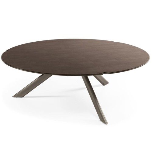 Twiggy Cantori coffee table