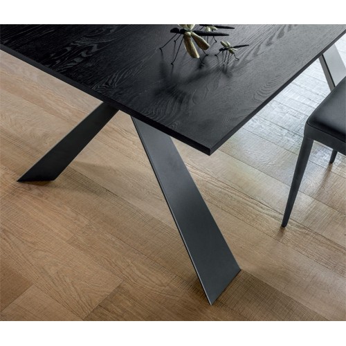 Delta Altacom extendable Table