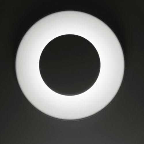 Lunanera Martinelli Luce Lamp