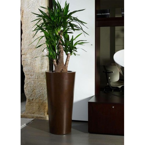 Ilie glossy Khilia Pot