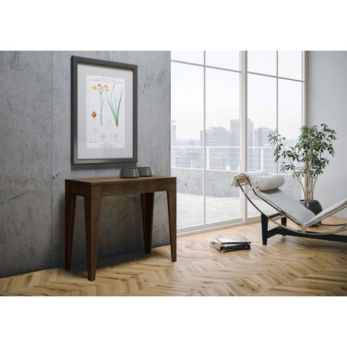 Isotta Itamoby Console table