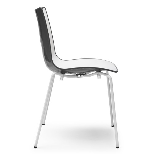 Zebra bicolor Scab Chair