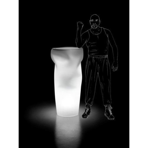 Saving Space Lightable Plust Vase