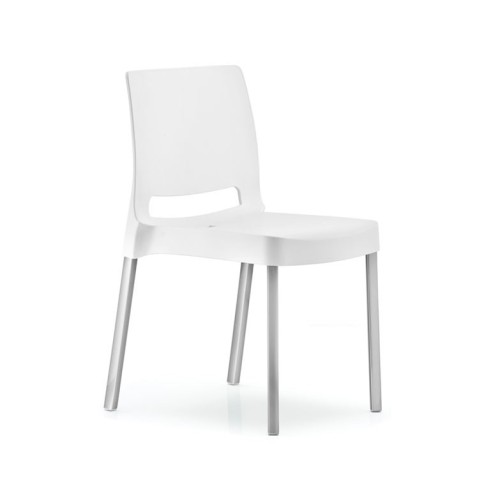 Joi Pedrali Chair