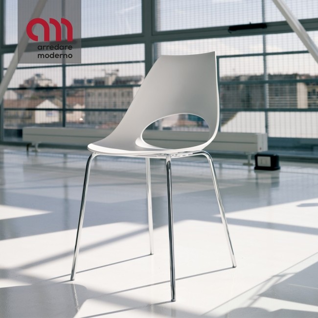 Shark Bontempi chair