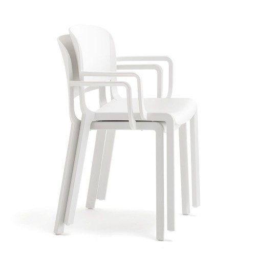 Dome Pedrali Chair with armrests