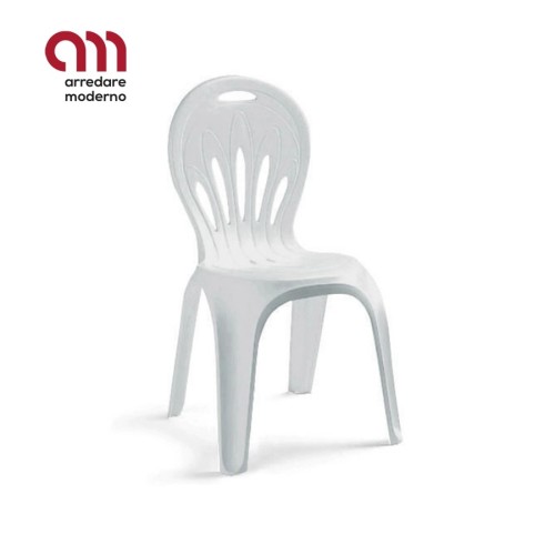 Stella di mare Scab Chair