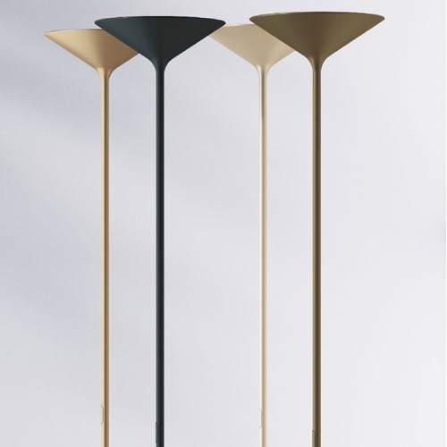 Dry Rotaliana Floor Lamp