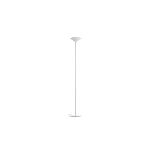 Dry Rotaliana Floor Lamp