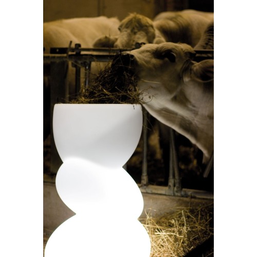 Caprice Twentyfirst Living Art High Lighting Vase