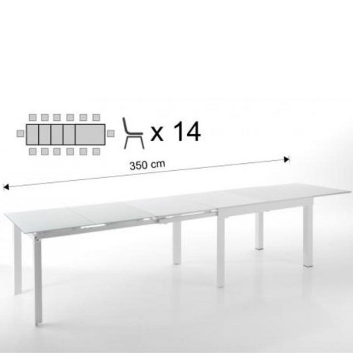 Long Tomasucci Table