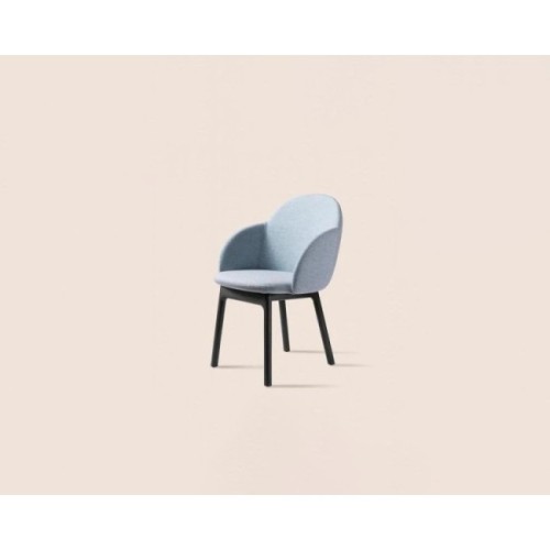 iola-wood-miniforms-chair-with-armrests