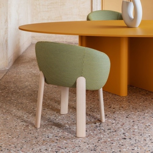 nebula-wood-miniforms-chair-with-armrests