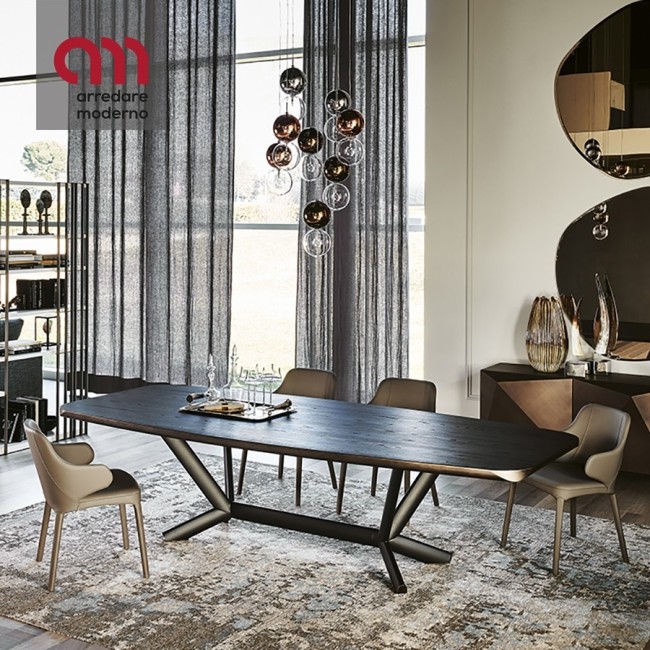 Planer Wood Cattelan Italia modern Table