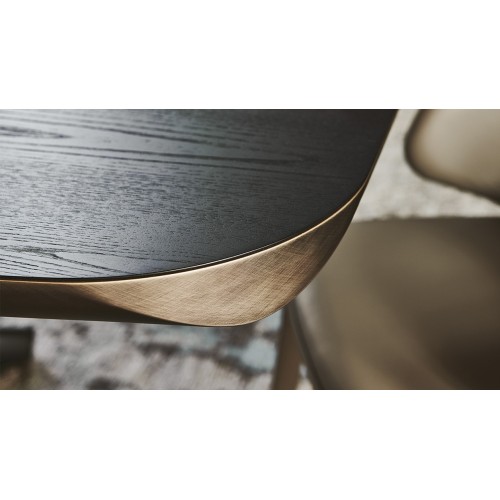 Planer Wood Cattelan Italia modern Table