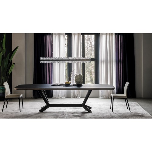 Planer Wood Cattelan Italia modern Table