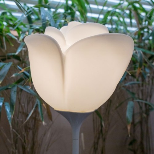 Baby Love Myyour Lampe de jardin