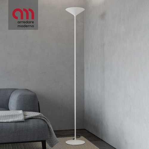 Dry Rotaliana Lampadaire