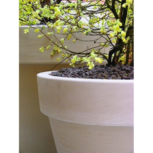 Lisse illuminable Serralunga Vase